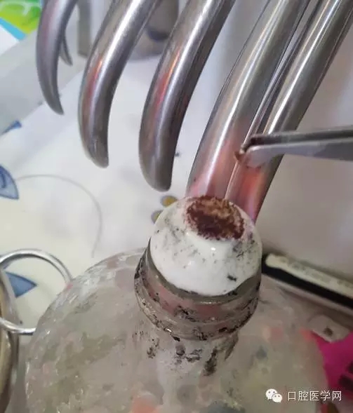 301.webp.jpg 301.webp.jpg