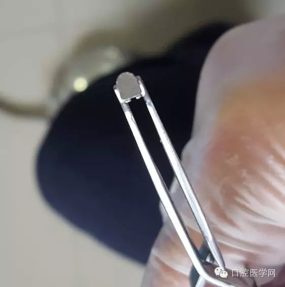 304.webp.jpg 304.webp.jpg