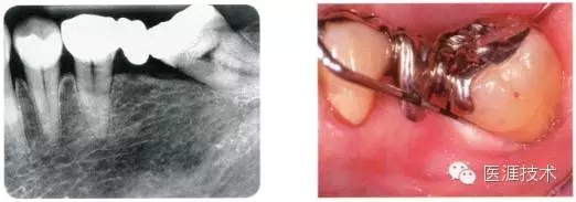 1.webp.jpg 1.webp.jpg