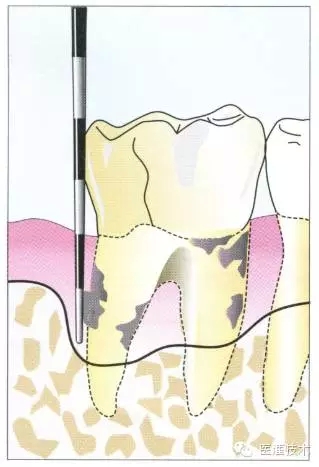 6.webp.jpg 6.webp.jpg