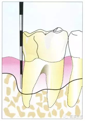 7.webp.jpg 7.webp.jpg