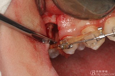 15_副本.jpg 15_副本.jpg