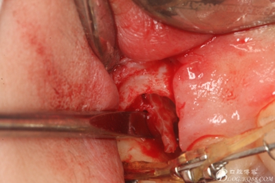 17_副本.jpg 17_副本.jpg