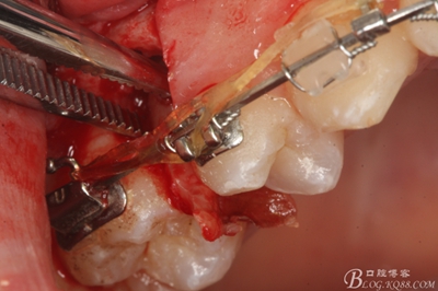 18_副本.jpg 18_副本.jpg