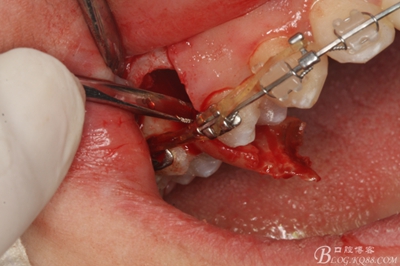 19_副本.jpg 19_副本.jpg