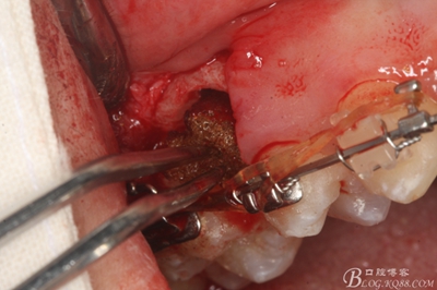 21_副本.jpg 21_副本.jpg