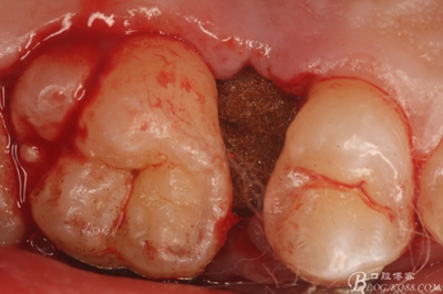 23_副本.jpg 23_副本.jpg