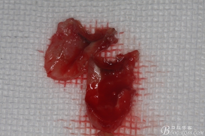 24_副本.jpg 24_副本.jpg