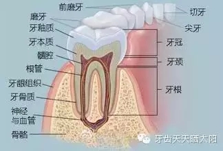 640.webp (1).jpg 640.webp (1).jpg