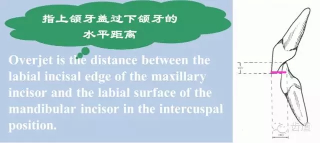 10.webp.jpg 10.webp.jpg