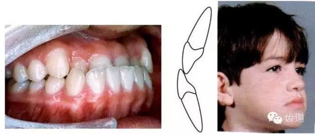 16.webp.jpg 16.webp.jpg