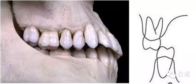 19.webp.jpg 19.webp.jpg