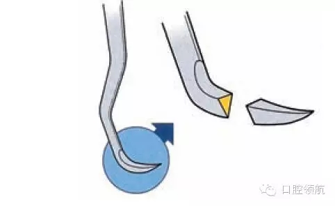 9.webp.jpg 9.webp.jpg