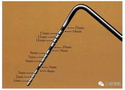 10.webp.jpg 10.webp.jpg