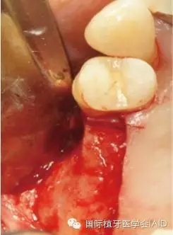 7.webp.jpg 7.webp.jpg