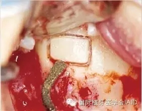 8.webp.jpg 8.webp.jpg