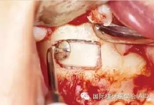 9.webp.jpg 9.webp.jpg