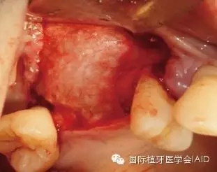 13.webp.jpg 13.webp.jpg