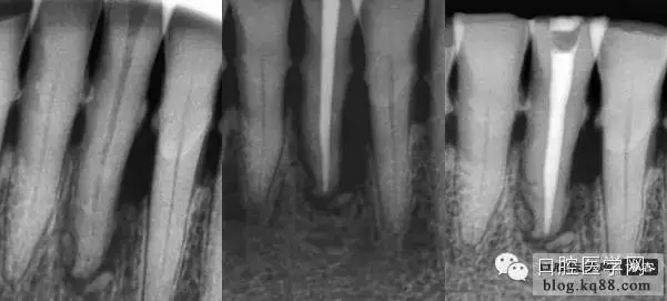 640.webp.jpg 640.webp.jpg