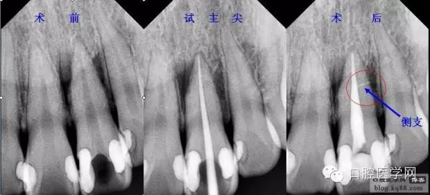 640.webp (1).jpg 640.webp (1).jpg