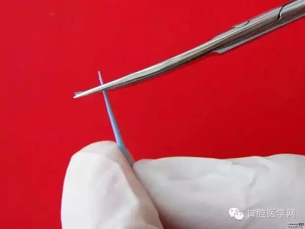 640.webp (7).jpg 640.webp (7).jpg