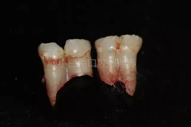 4.webp.jpg 4.webp.jpg