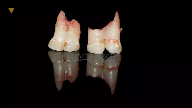 7.webp.jpg 7.webp.jpg