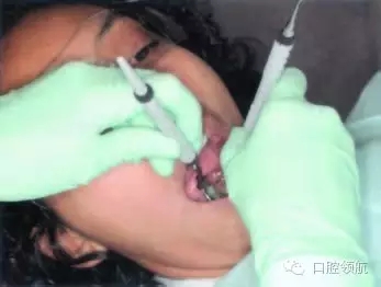 9.webp.jpg 9.webp.jpg