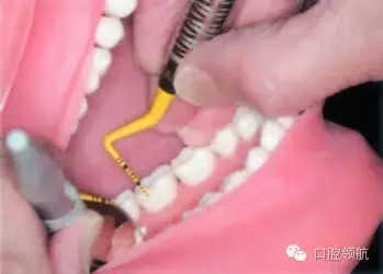 10.webp.jpg 10.webp.jpg