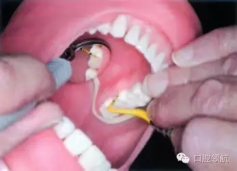 18.webp.jpg 18.webp.jpg