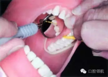 19.webp.jpg 19.webp.jpg