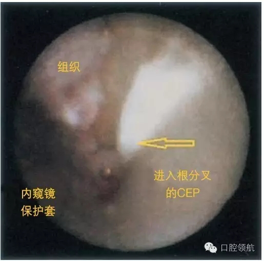 6.webp.jpg 6.webp.jpg