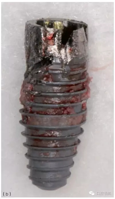 12.webp.jpg 12.webp.jpg