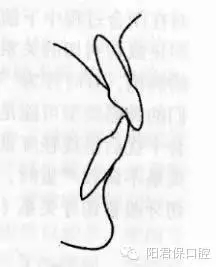 6.webp.jpg 6.webp.jpg