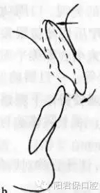 8.webp.jpg 8.webp.jpg