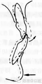 11.webp.jpg 11.webp.jpg