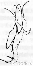 12.webp.jpg 12.webp.jpg