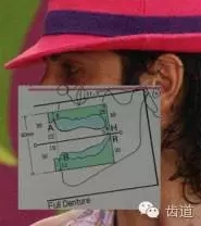 6.webp.jpg 6.webp.jpg