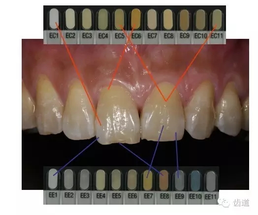 3.webp.jpg 3.webp.jpg