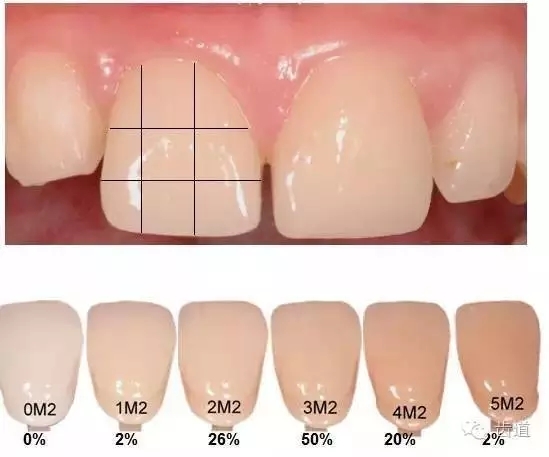 6.webp.jpg 6.webp.jpg