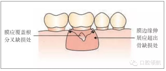 3.webp.jpg 3.webp.jpg
