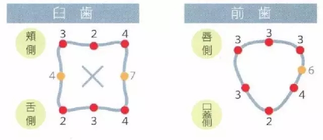 12.webp.jpg 12.webp.jpg