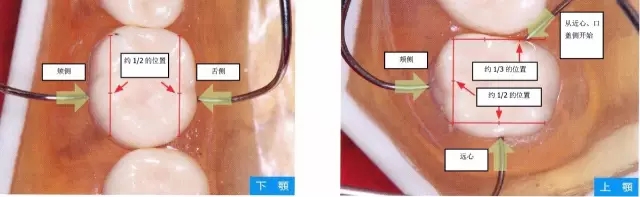 14.webp.jpg 14.webp.jpg