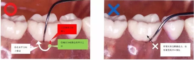 15.webp.jpg 15.webp.jpg