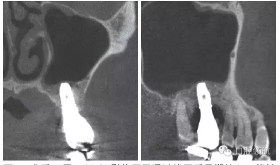 10.webp.jpg 10.webp.jpg