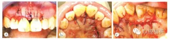 7.webp.jpg 7.webp.jpg