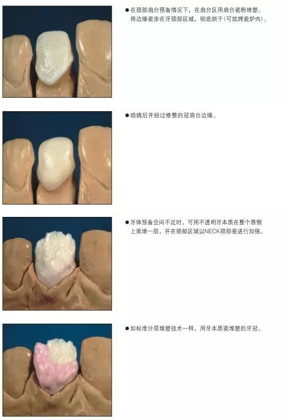 1.webp.jpg 1.webp.jpg