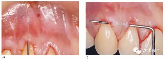 2.webp.jpg 2.webp.jpg