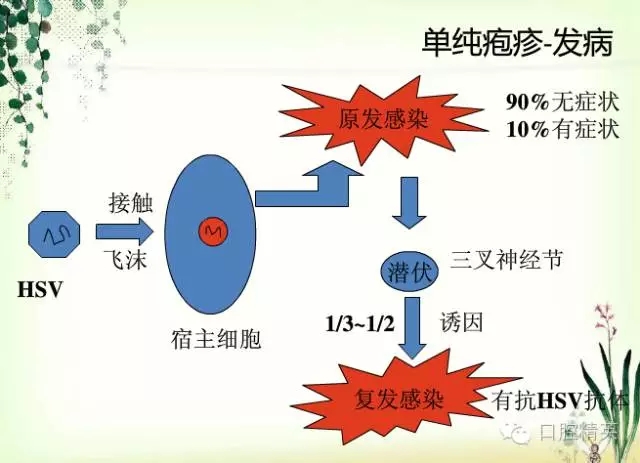 4.webp.jpg 4.webp.jpg