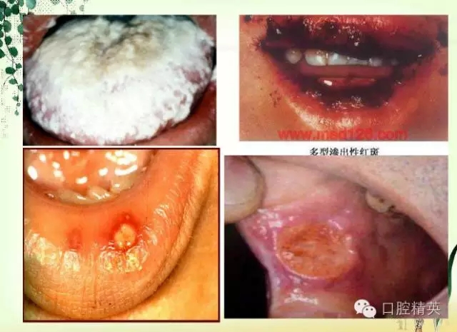 9.webp.jpg 9.webp.jpg